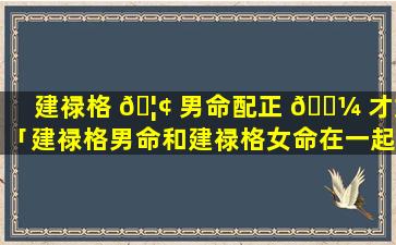建禄格 🦢 男命配正 🐼 才女「建禄格男命和建禄格女命在一起好不好」